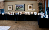 SelectPhotos-Low-Res-250