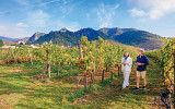 AT_Du¨rnstein_Wine_Couple-in-vineyard_PhotogVV_GRY06591-4_edit_cef8d32f-56d4-447b-ac96-8787578d91e4-scaled