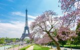 FR_Paris_EiffelTower_CherryBlossoms_StockSS_701215585-scaled