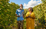 Wine_Vineyard_Couple_StockG_1445187216-scaled