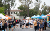 LoveRun2026-WebPhoto-334