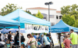LoveRun2026-WebPhoto-389
