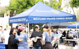 LoveRun2026-WebPhoto-409