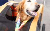 LoveRun2026-WebPhoto-413