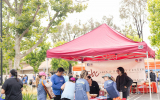 LoveRun2026-WebPhoto-422