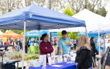 LoveRun2026-WebPhoto-427