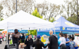 LoveRun2026-WebPhoto-430