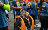 LoveRun2026-WebPhoto-468