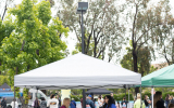 LoveRun2026-WebPhoto-494
