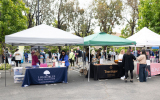 LoveRun2026-WebPhoto-495