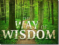 Windows-Live-Writer-February-programs-for-senior-wisdom_776C-way-of-wisdom-the_t_nv_thumb
